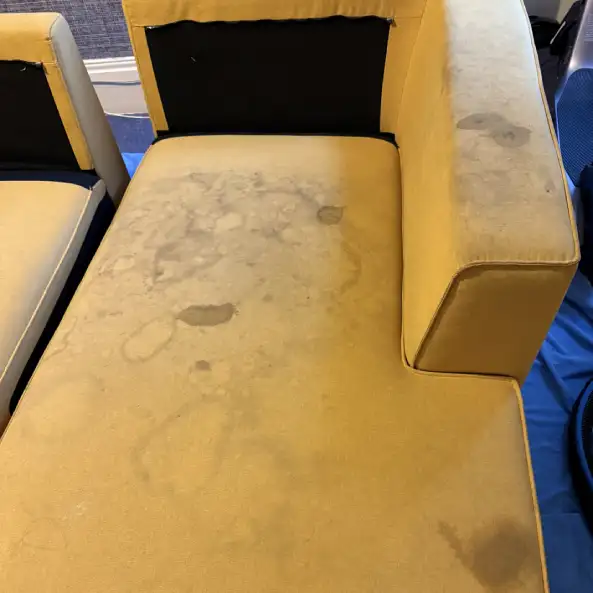 sofa-cleaning-services